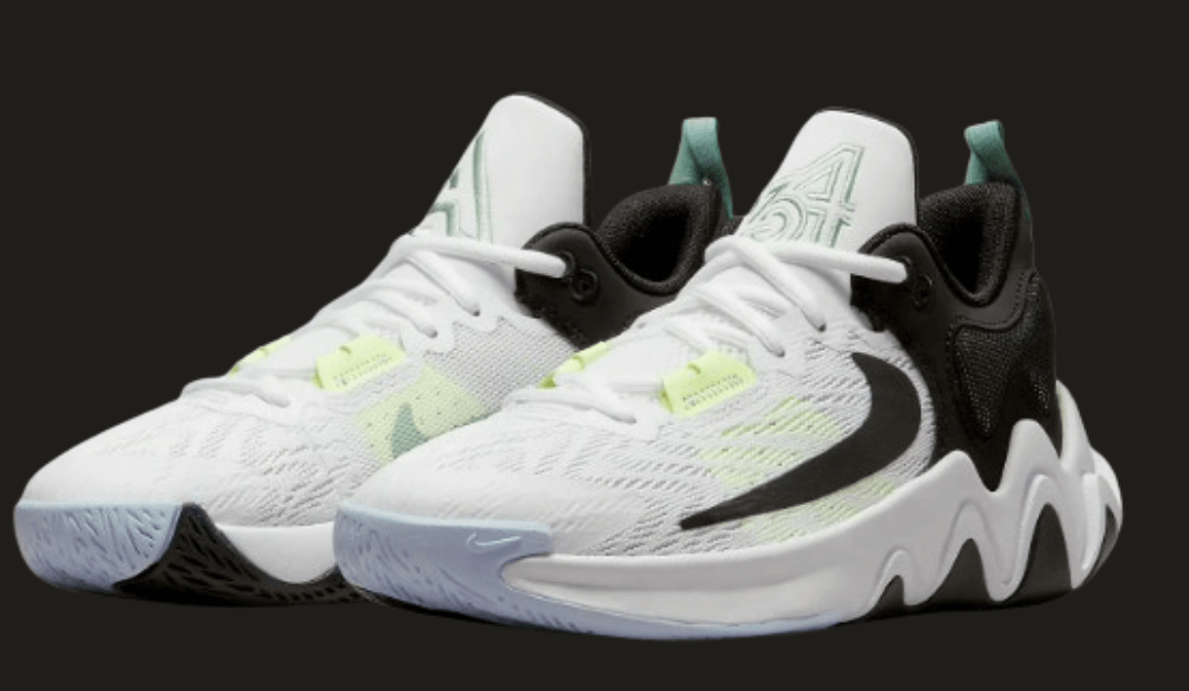 Get 16% off Giannis Immortality 2 Big Kids’ Basketball Shoes @ Nike US