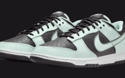Get 35% off Nike Dunk Low Retro Premium Men’s Shoes @ Nike US