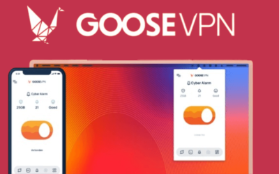 GOOSE VPN – Browse the web anonymously and protect your data with a secure VPN service